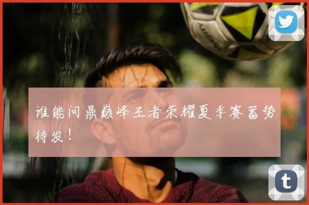 谁能问鼎巅峰王者荣耀夏季赛蓄势待发！