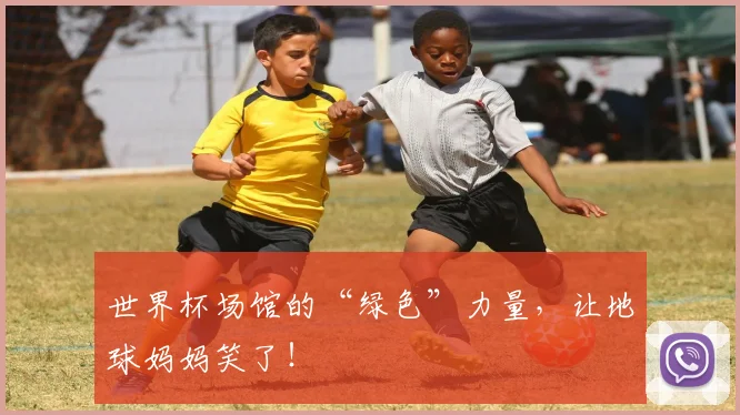 世界杯场馆的“绿色”力量,让地球妈妈笑了!
